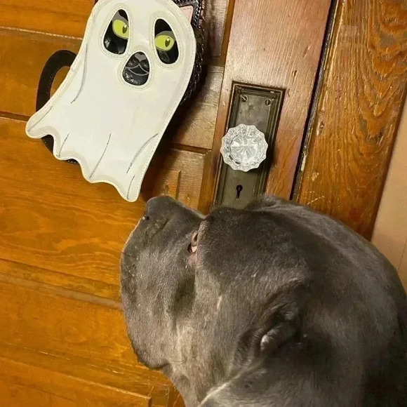 SOLD - Picture 7 of 8